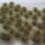 Grass Tufts Autumn (2-4,5 mm) 1:48