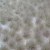 Grass Tufts Winter (2-4,5 mm) 1:48