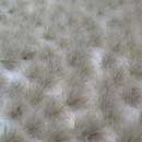 Grass Tufts Winter (2-4,5 mm) 1:48