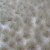 Grass Tufts Winter (2-4,5 mm) 1:48