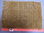  Scenery grass matting Autumn
