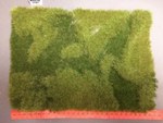 Scenery grass matting Summer
