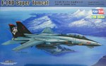 F-14D Super Tomcat 1:48