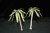 Palm Trees Set B (Europe / Africa) 1:48