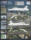 McDonnell-Douglas F/A-18B Casper and his Bandit Ghosts VFA-125 Rough Raiders (3) 