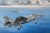 F-35C Lightning 