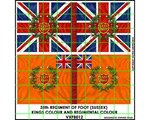 35th Regt 'Sussex' (2 flags + finials) 28mm