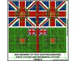 45th Regt 'Nottinghamshire' (2 flags + finials) 28mm
