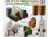 Jerry Can Set 