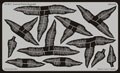 Eduard 35617 - Leaves Fern / Kapraï I