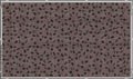 Eduard 36148 - Camo netting US 1940-1960 Spring -colour