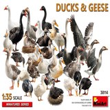 MiniArt 38114 DUCKS & GEESE
