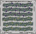Grapevine/vinná réva