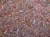 Fine Autumn Forest Scatter 40ml