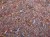 Fine Autumn Forest Scatter 40ml