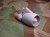 S-3 A/B VIKING engine set for ITALERI Kit 1/48
