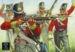 Waterloo British Line Infantry
