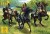 Napoleonic French Dragoons