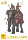 Macedonian Elephant