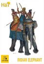 Indian Elephant