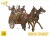 Indian Chariot