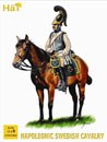 Swedish Cavalry