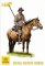 Zulu Wars: Natal Native Horse