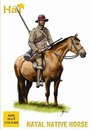 Zulu Wars: Natal Native Horse