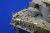Eduard 35958 - M-51 Isherman tool boxes (DRA)