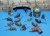 Rats
