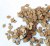 Leaves - linden