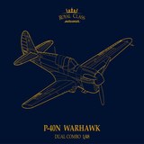 Eduard R0025 P-40N WARHAWK ROYAL CLASS DUAL COMBO