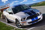 Shelby Gt 500 1/24