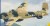 B-25 J Mitchell JAF 35296 1:48