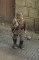 Waffen SS (Ardennes) - WWII 1:35