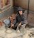 M13/40 Tanker (WWII) 1:35